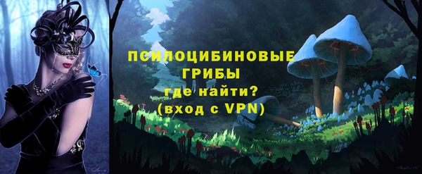 кокс Арсеньев